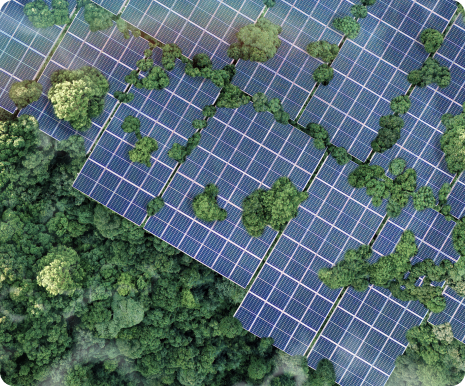 shutterstock_2480041573 6 (1)